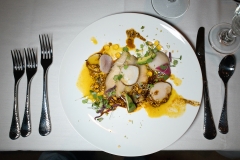 hamachi-scallop-crudo-top-view hamachi-scallop-crudo-top-view