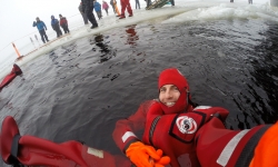 Swimming in the Gulf of Bothnia