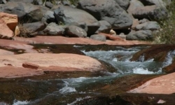 Oak Creek in Sedona