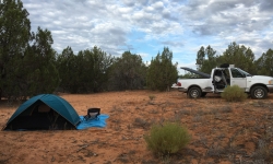 2016-08-01 08.00.34 copy 2016-08-01 08.00.34 copy