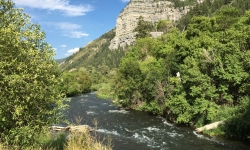 2016-08-02 17.36.29 copy 2016-08-02 17.36.29 copy
