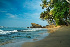 Frog-Rock-in-Sri-Lanka