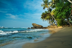 Frog-Rock-in-Sri-Lanka