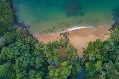 Jungle-Beach-from-above