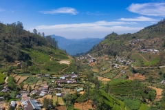 Mountain-village-with-tea-fields-aerial