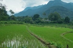 Rice-field-with-mountain-and-clouds