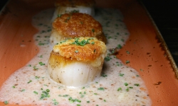 Parmesan Crusted Sea Scallops