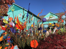 Suttons Bay gift shop Suttons Bay gift shop