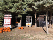 2018-10-18 11.20.00 copy 2018-10-18 11.20.00 copy