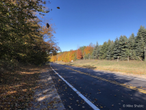 2018-10-18 11.21.49 copy 2018-10-18 11.21.49 copy