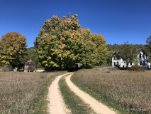 2018-10-18 14.00.20 copy 2018-10-18 14.00.20 copy