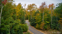 Autumn road in Traverse Ci copy