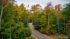 Autumn road in Traverse Ci copy Autumn road in Traverse Ci copy