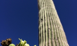 2014-05-31 15.28.09-1 2014-05-31 15.28.09-1