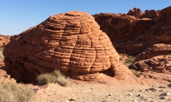 Beehive formation