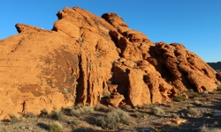IMG_0017 IMG_0017