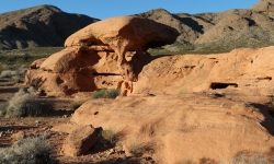 IMG_0036 IMG_0036