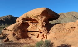IMG_0037 IMG_0037
