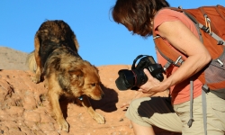 IMG_0040 IMG_0040