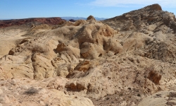 IMG_0064 IMG_0064