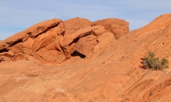 IMG_0080 IMG_0080