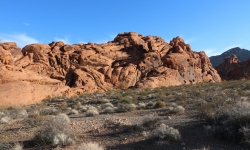 IMG_0086 IMG_0086