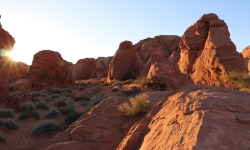 IMG_0140 IMG_0140