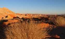 IMG_0143 IMG_0143