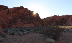 IMG_0151 IMG_0151
