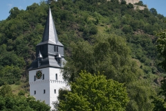 Castle-along-the-Rhine