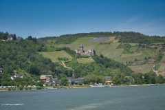 Vineyard-views-from-the-Rhine Vineyard-views-from-the-Rhine
