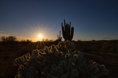 1_Desert-Sunset-in-Wickenburg 1_Desert-Sunset-in-Wickenburg