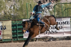 Bucking-Bronco-at-Wickenburg-Gold-Rush