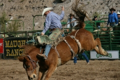 Cowboy-rodeo-in-Wickenburg