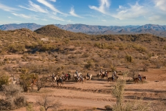 Cowboys-out-on-the-range Cowboys-out-on-the-range