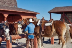 Flying-E-Dude-Ranch-wrangler-with-horses