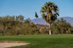 Golf-course-with-flag