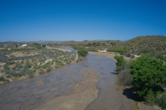 Hassayampa-River-in-Wickenburg Hassayampa-River-in-Wickenburg