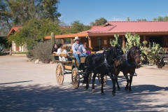 Horse-Carriage-green-tan-5-©Mike-Shubic