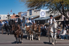 Horse-riders-at-Gold-Rush-Parade