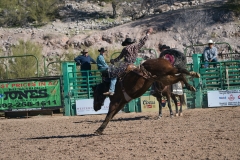 Rodeo-in-Wickenburg-2