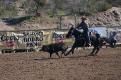 Roping-at-the-rodeo