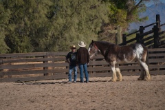 Unbridled-Men-6©Mike-Shubic