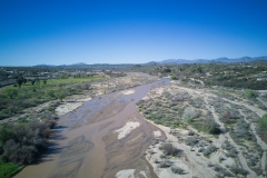 Wickenburg-Hassayampa-River-with-water