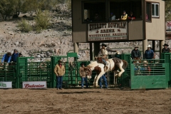 Wickenburg-Rodeo-bucking-broncos