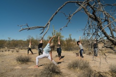 Yogo-in-the-desert-11