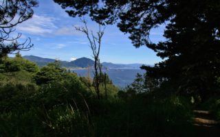 Port Orford view