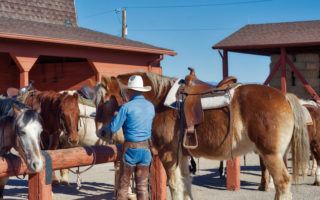 Flying E Dude Ranch wrangler with horses in Wickenburg Arizona - Photo by Mike Shubic of MikesRoadTrip.com