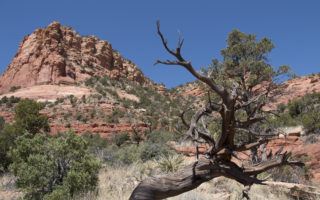 View from Cozy Cactus in Sedona