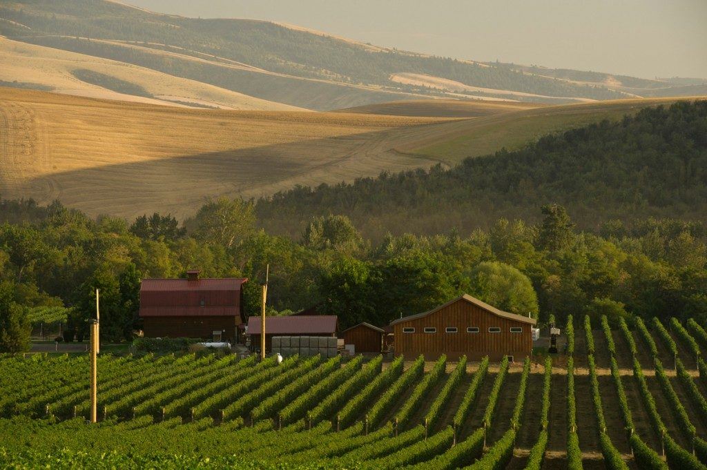 Walla Walla is one of the Best Small Town Road Trip Destinations in the U.S.